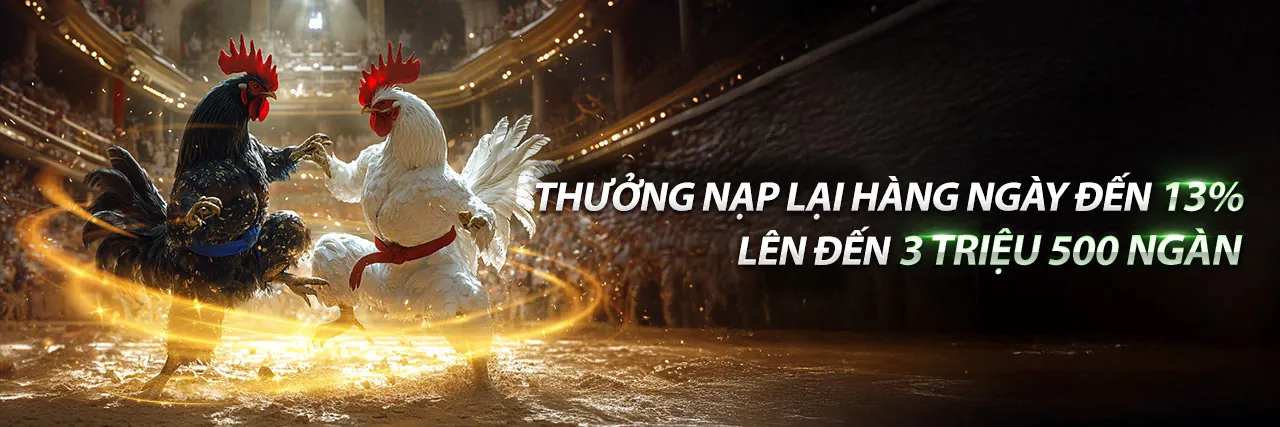 Trực Tiếp Đá Gà Thomo Ngày 20 Tháng 10 - Sân đấu hùng tráng